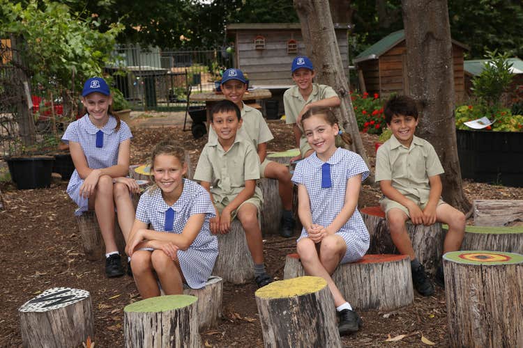 7 students relaxing in the SPS Kitchen Garden